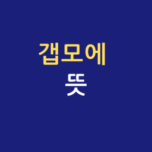 갭모에 뜻