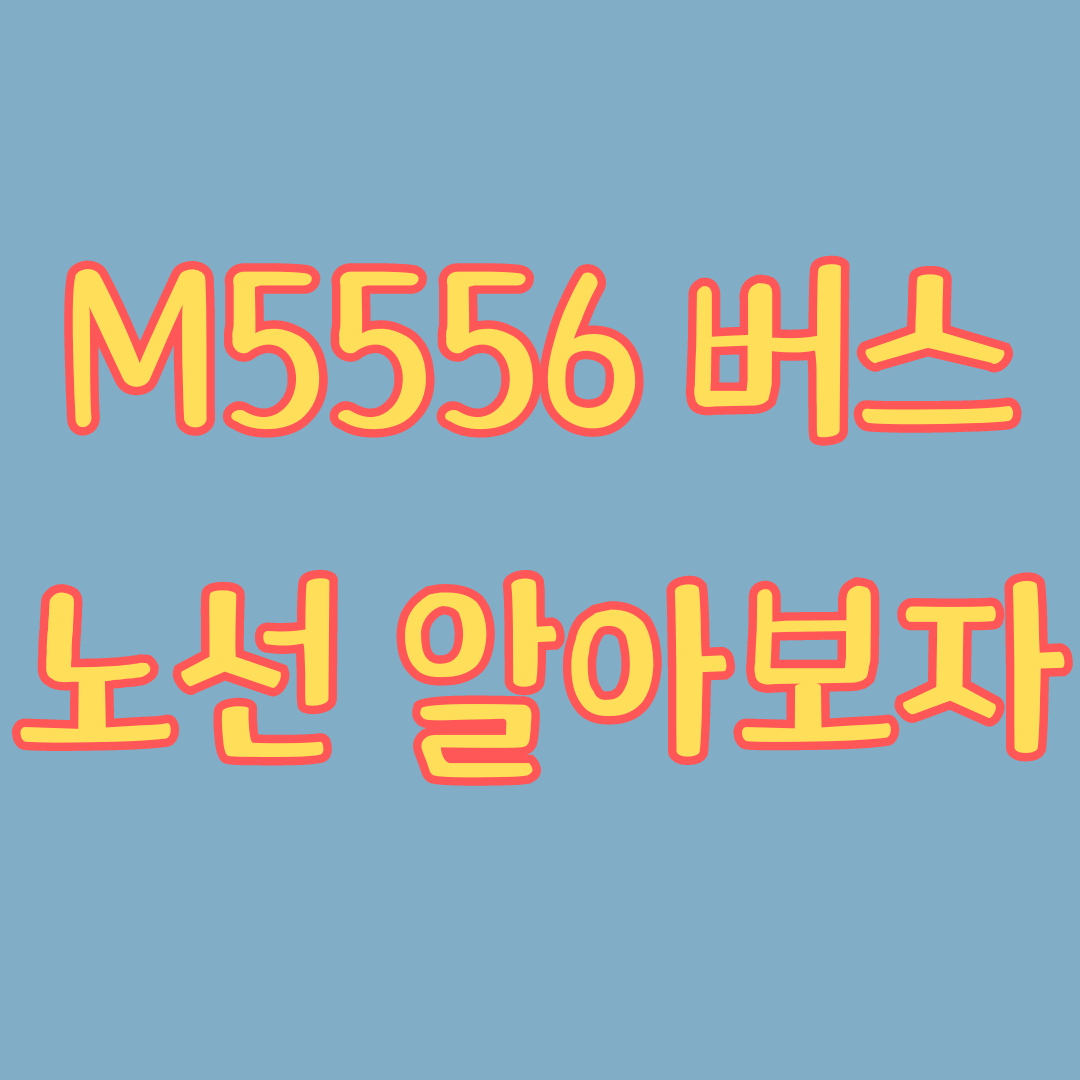M5556 버스 노선