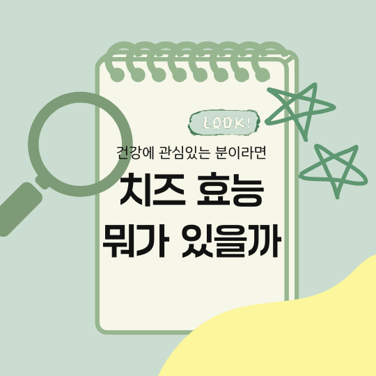 치즈 효능