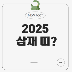 2025 삼재