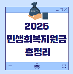 2025 민생회복지원금