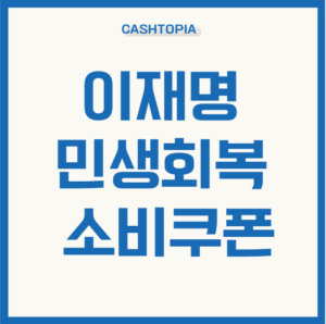 이재명소비쿠폰