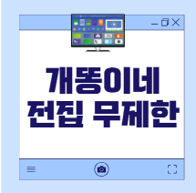 개똥이네전집 무제한