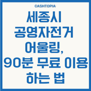 세종시 공영자전거