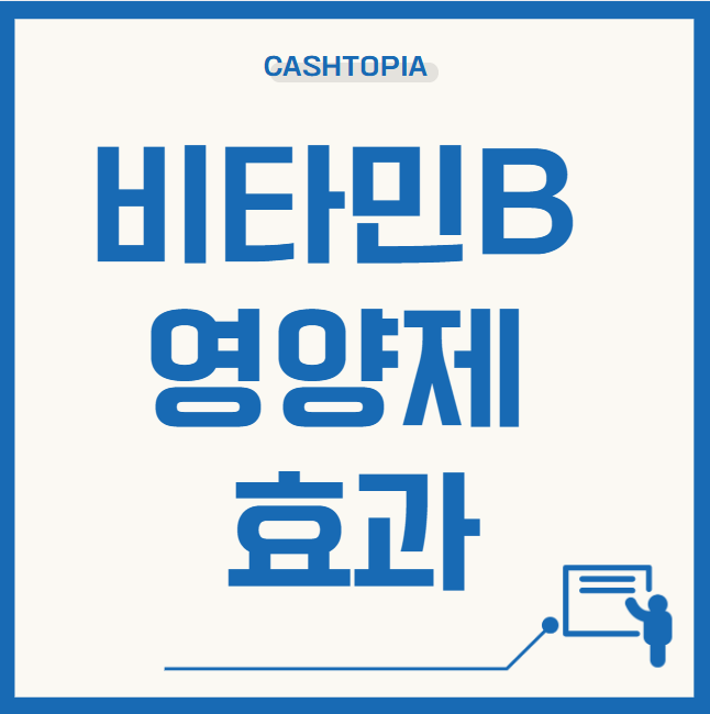 비타민B효과