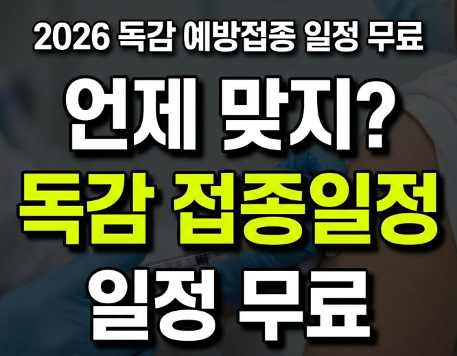 독감 접종일정